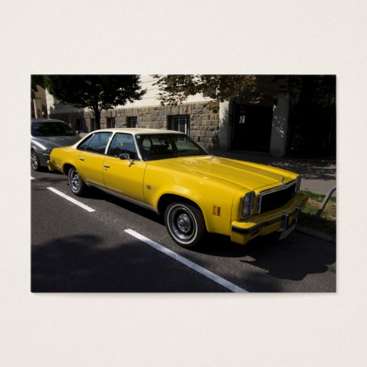 シェブローマリブクラシック (正面)