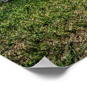 シェベルSS ポスター (角)