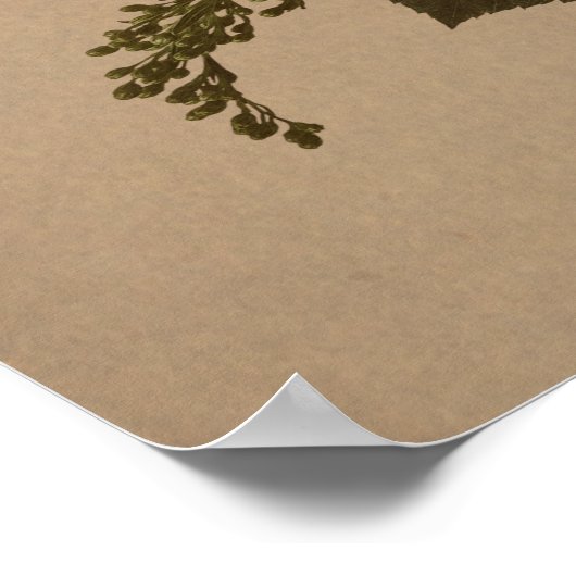 シェマイスラエル祈りの言葉引用文 – ヘブライ語&英語 ポスター (角)