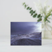 シェミアイランドノースビーチ ポストカード (スタンド正面)