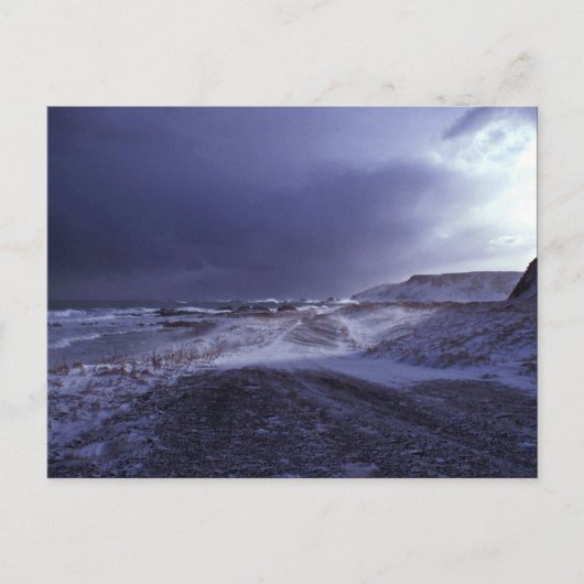 シェミアイランドノースビーチ ポストカード (正面)