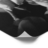 シェムリアップカンボジア、蓮の花 ポスター (角)