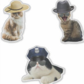 シェリフ・キャット シール (正面)