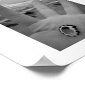 シェルが手に入る ポスター (角)