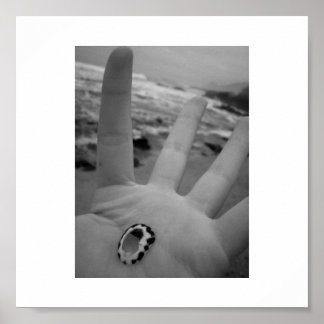 シェルが手に入る ポスター