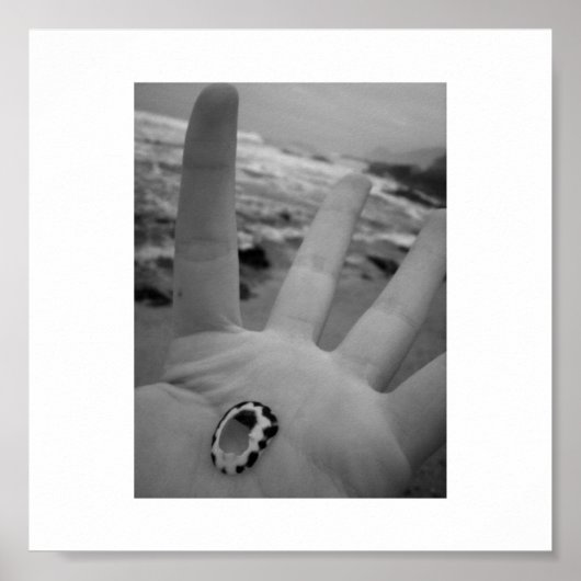 シェルが手に入る ポスター (正面)