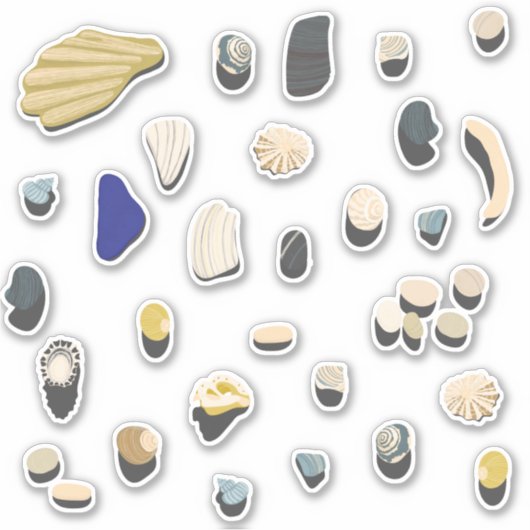 シェルと小石ビーチ シール (正面)