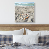 シェルのハート キャンバスプリント (インサイチュ (寝室))