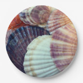 シェルのペーパープレート ペーパープレート (正面)
