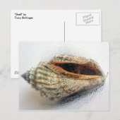 シェルはがき ポストカード (正面/裏面)