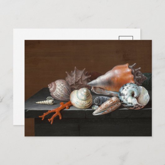 シェルを使用した静止寿命 | ヨハンヤコブディエッチュ ポストカード (正面/裏面)