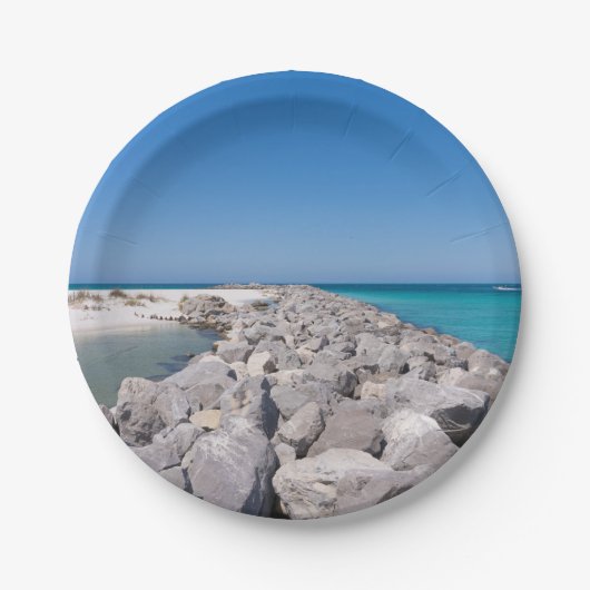 シェルアイランドジェティ紙プレート ペーパープレート (正面)