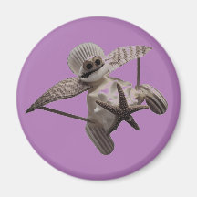 シェルアート飛行機