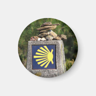 シェルウェイマーク磁石 マグネット