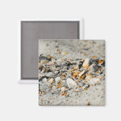 シェルキャッシュ マグネット (正面/裏面)