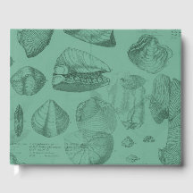 シェルグリーンマーレコレクション