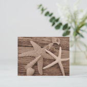 シェルコレクション ポストカード (スタンド正面)