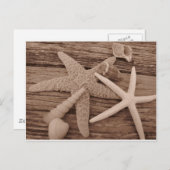 シェルコレクション ポストカード (正面/裏面)