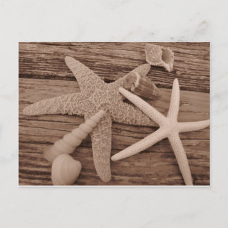 シェルコレクション ポストカード