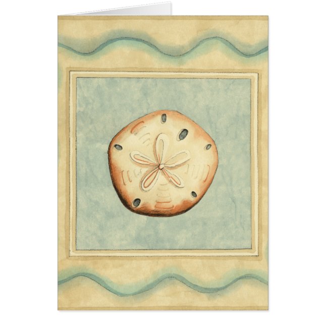 シェルコレクター (正面)