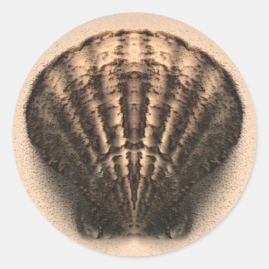 シェルシール ラウンドシール (正面)