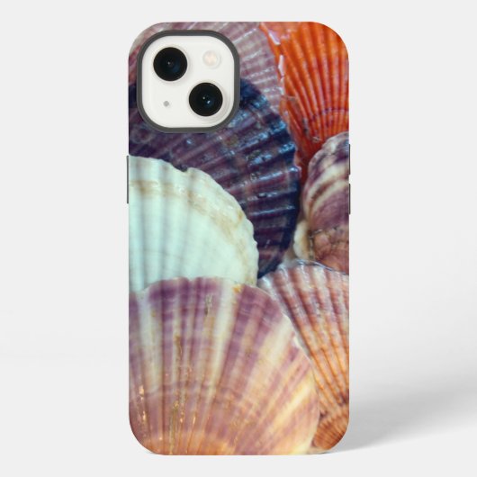 シェルズ Case-Mate iPhoneケース Apple iPhone 13 13ケース (裏面)