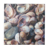 シェルタイル タイル (正面)