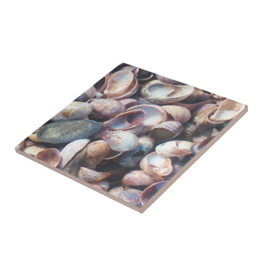 シェルタイル タイル (側面)