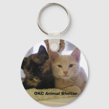 シェルターキテンス3