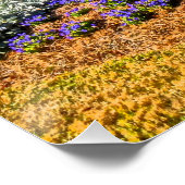 シェルターコーブハーバー&マリーナヒルトンヘッドアイランド ポスター (コーナー)