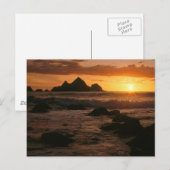 シェルターコーブ ポストカード (正面/裏面)