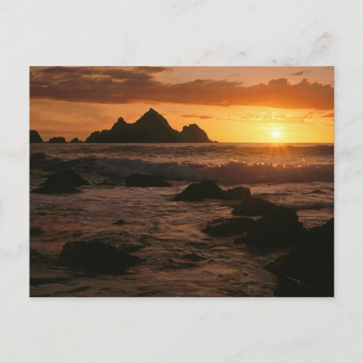 シェルターコーブ ポストカード (正面)