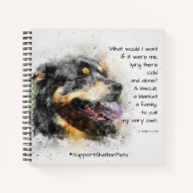 シェルターペットを取り入れる – Bernese Mountain Dog