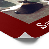 シェルターペットを採用する ポスター (角)