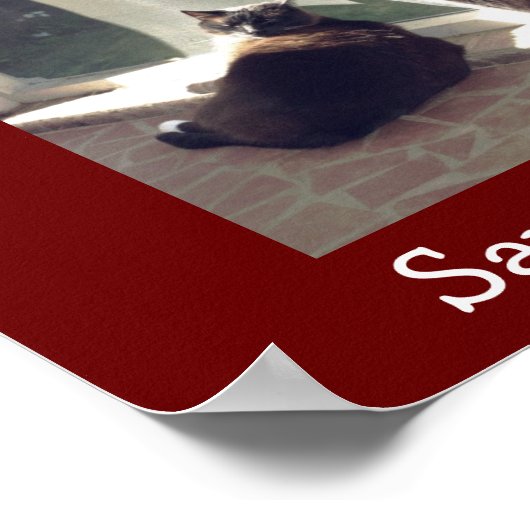 シェルターペットを採用する ポスター (角)