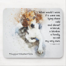 シェルターペットを採用する – Beagle