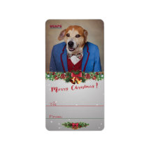 シェルターペットプロジェクト – チョッパー