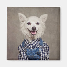 シェルターペットプロジェクト – トンカ