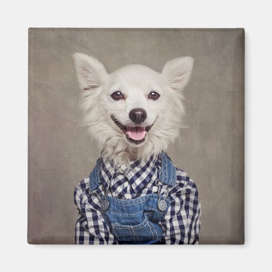 シェルターペットプロジェクト – トンカ マグネット (正面)