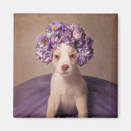 シェルターペットプロジェクト – フィオナ マグネット