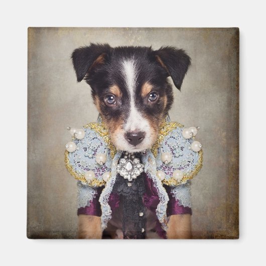 シェルターペットプロジェクト – ロキ マグネット (正面)