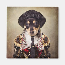 シェルターペットプロジェクト – Josie