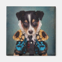 シェルターペットプロジェクト – Loki (Blue)