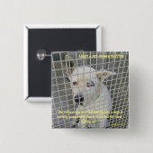 シェルター犬の中で見る悲しみ 缶バッジ (正面&裏面)