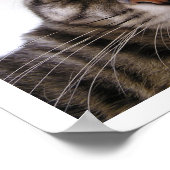 シェルター猫も良い家が必要だ ポスター (角)