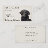 シェルター病院名刺 名刺 (正面/裏面)