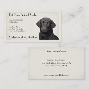 シェルター病院名刺 名刺