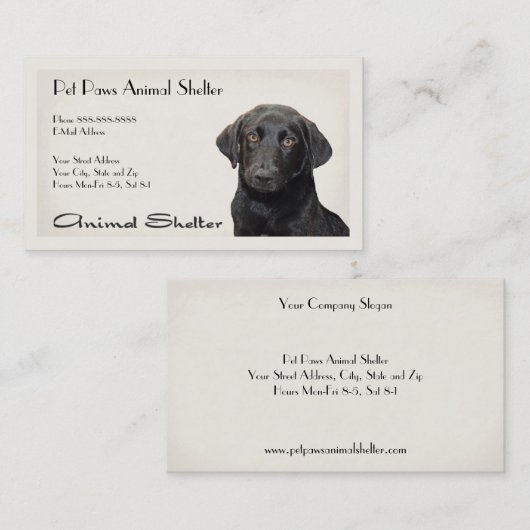 シェルター病院名刺 名刺 (正面/裏面)