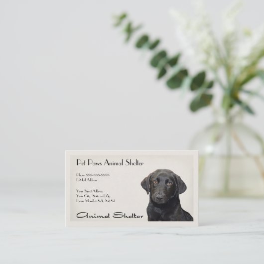 シェルター病院名刺 名刺 (スタンド正面)