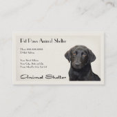 シェルター病院名刺 名刺 (正面)